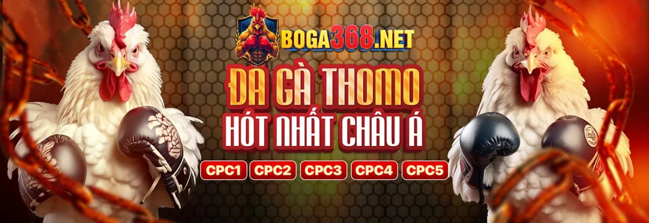 Sân vận động thể thao sôi động, cá cược 88uu link mới